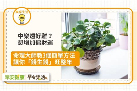 增加偏財運|【偏財運 意思】偏財運懶人包：讓你輕鬆搞懂偏財運、財星與破。